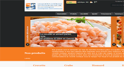 Desktop Screenshot of acpi-ifca.com
